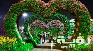 تفسير رؤية جنينة في المنام