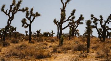 تفسير رؤية جفاف الماء في الحلم