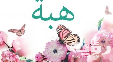 تفسير رؤية اسم هبة في المنام