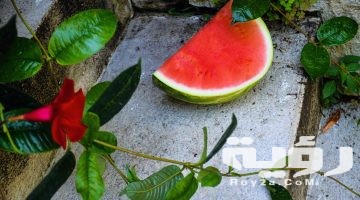 تفسير رؤية البطيخ في المنام