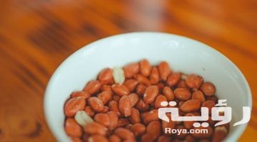 تفسير رؤية جمع الفول السوداني في المنام