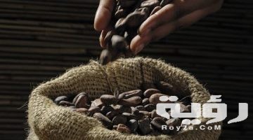 تفسير رؤية الفول في المنام