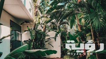 تفسير رؤية غرق المنزل بالماء في المنام