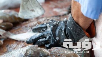 تفسير رؤية قشور السمك في المنام
