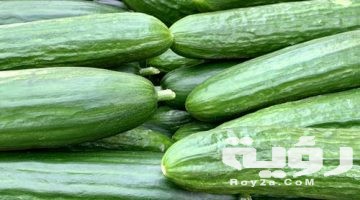 تفسير رؤية الخيار في الحلم