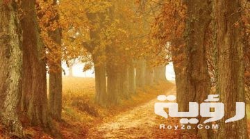 تفسير رؤية فصل الخريف في المنام