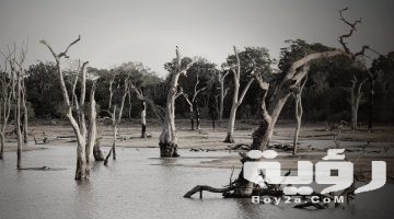 تفسير رؤية فيضان البحر في المنام