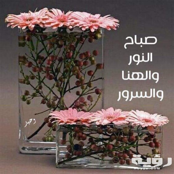 اجمل صور صباح الخير في العالمم 29