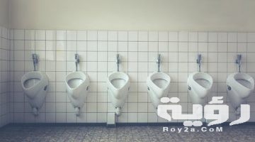 تفسير رؤية قاعدة الحمام في المنام