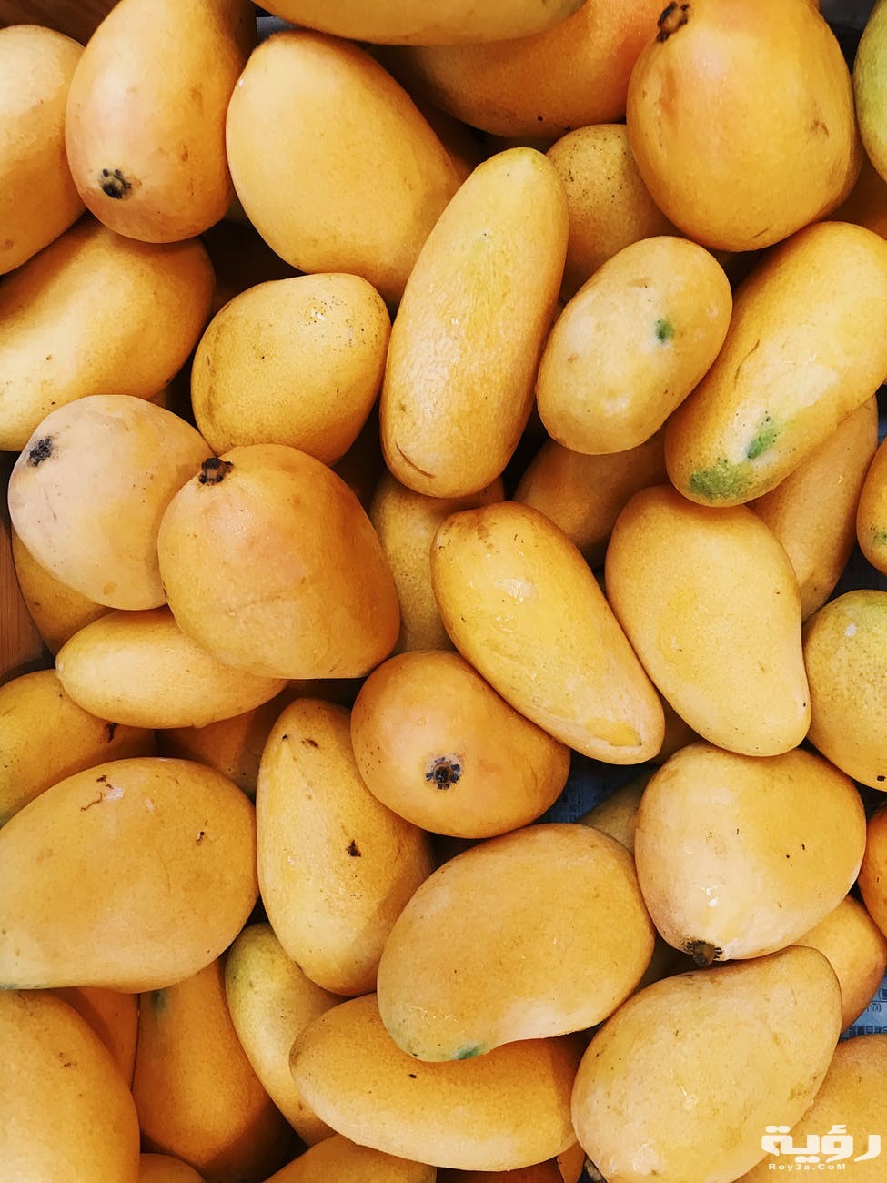 تفسير رؤية المانجو في المنام 5 تفسير رؤية المانجو في المنام