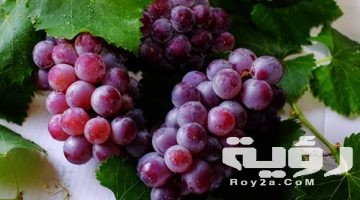 تفسير رؤية اكل العنب في المنام