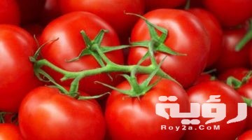 تفسير رؤية البندورة في المنام