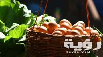 تفسير رؤية ثلاث بيضات في المنام