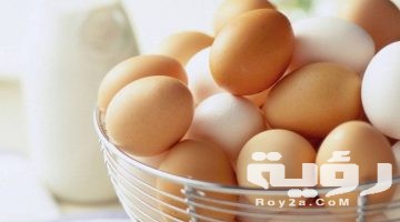 تفسير رؤية كثرة البيض في المنام