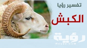 تفسير رؤية الكبش في المنام