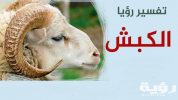 تفسير رؤية الكبش في المنام