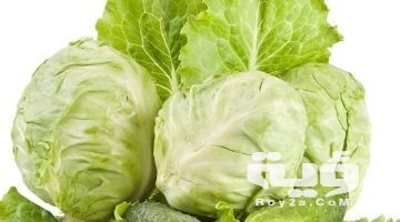 تفسير رؤية كرنب ابيض في المنام