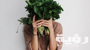تفسير رؤية النعناع الاخضر في المنام