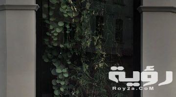 تفسير رؤية الحناء او الحنة في المنام