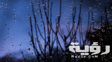 تفسير رؤية نزول المطر في المنام