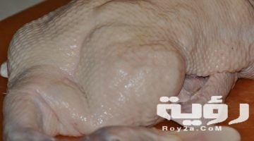 تفسير رؤية بط صغير ميت أو مذبوح في المنام