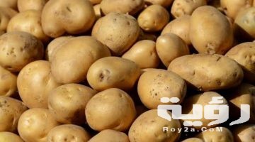 تفسير رؤية تقشير البطاطس في المنام
