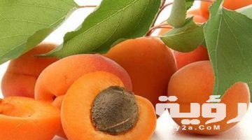 تفسير رؤية المشمش في المنام