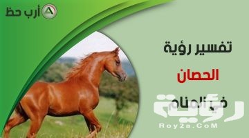 تفسير رؤية مهرة صغيرة في المنام
