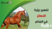 تفسير رؤية مهرة صغيرة في المنام 5 تفسير رؤية مهرة صغيرة في المنام