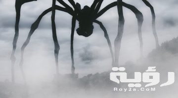 تفسير رؤية لدغة العنكبوت في المنام