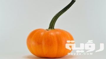 تفسير رؤية اليقطين في المنام