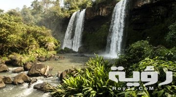 تفسير رؤية الجنة في المنام