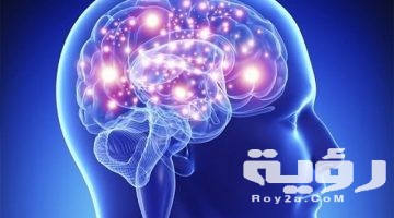 تفسير رؤية مخ الانسان في المنام