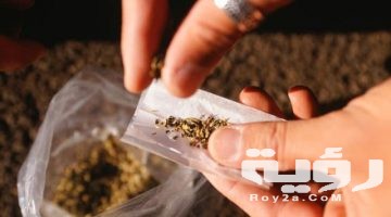 تفسير رؤية مخدر الحشيش في المنام