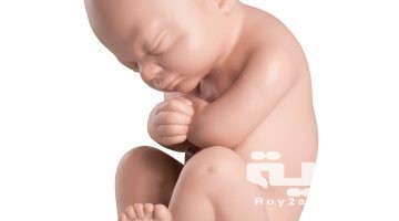 تفسير رؤية شكل الجنين في المنام