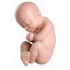 تفسير رؤية شكل الجنين في المنام 1 XL001 01 1200 1200 Spare fetus for L20 scaled