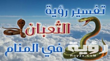 تفسير رؤية ثعبان لابن سيرين