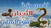 تفسير رؤية ثعبان لابن سيرين 5 تفسير رؤية ثعبان لابن سيرين