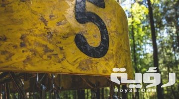 تفسير رؤية رقم 5 خمسة في المنام