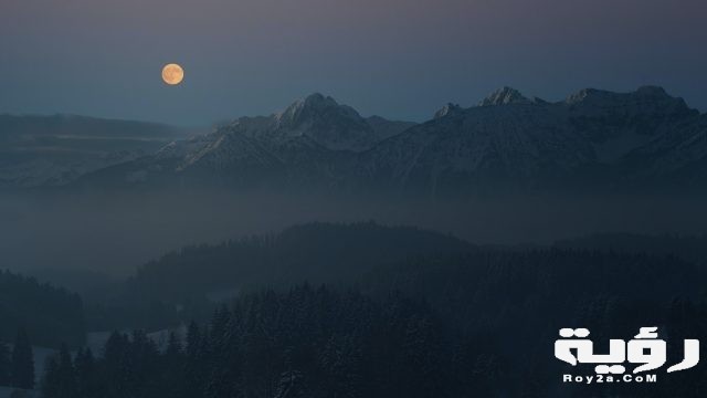 pexels johannes plenio 3417015