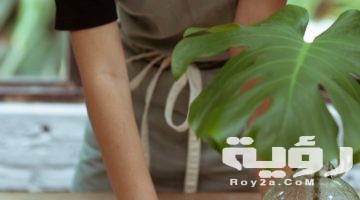 تفسير رؤية الشغالة في المنام