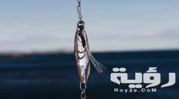 تفسير رؤية سنارة الصيد في المنام