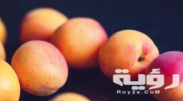 تفسير رؤية شجرة الخوخ في المنام