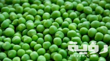 تفسير رؤية البسلة (البازلاء) في المنام