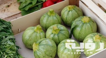 تتفسير رؤية الكوسا في المنام