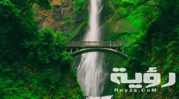 تفسير رؤية شلال ماء في المنام