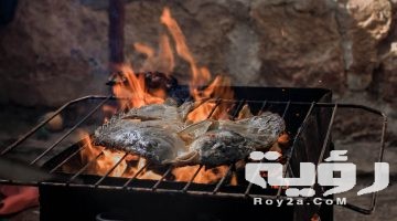 تفسير رؤية سمك مشوي في المنام