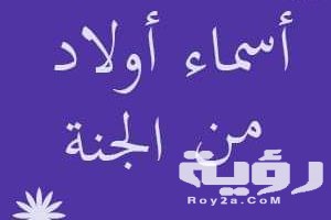 اسماء اولاد من الجنة ومعانيها 2026