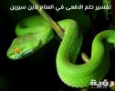 تفسير رؤية الثعبان الصغير في المنام 5 تفسير رؤية الثعبان الصغير في المنام