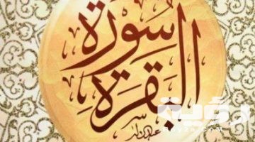 تفسير رؤية سورة البقرة في المنام